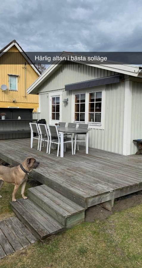 Villa Sus & Dus Yngsjo Bagian luar foto