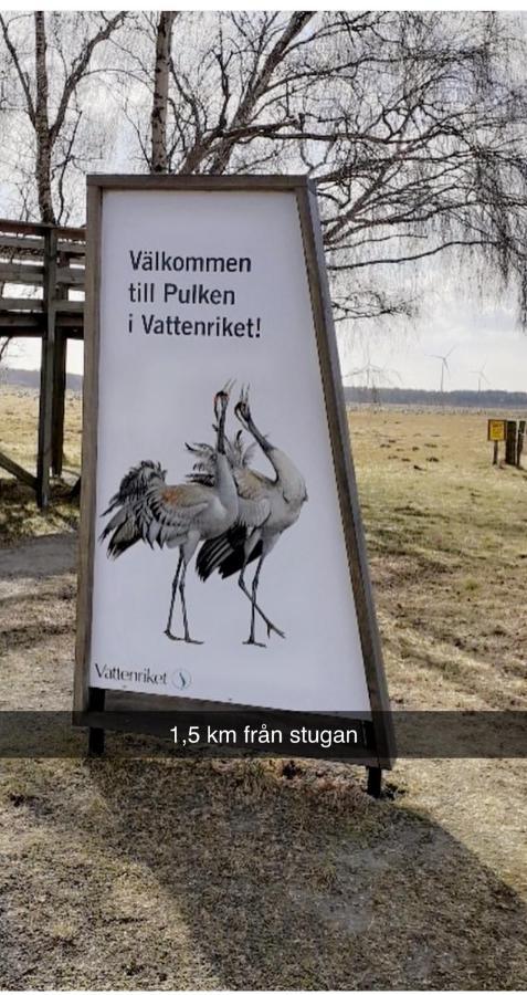 Villa Sus & Dus Yngsjo Bagian luar foto